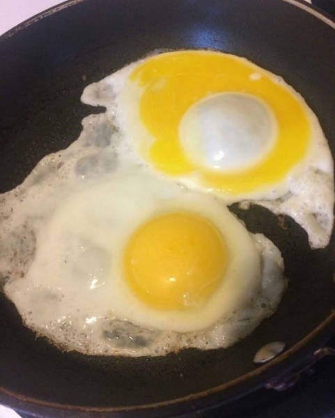 morning picdump 50 pics 20.html - 50 HD Photos | Premium Gallery 2017