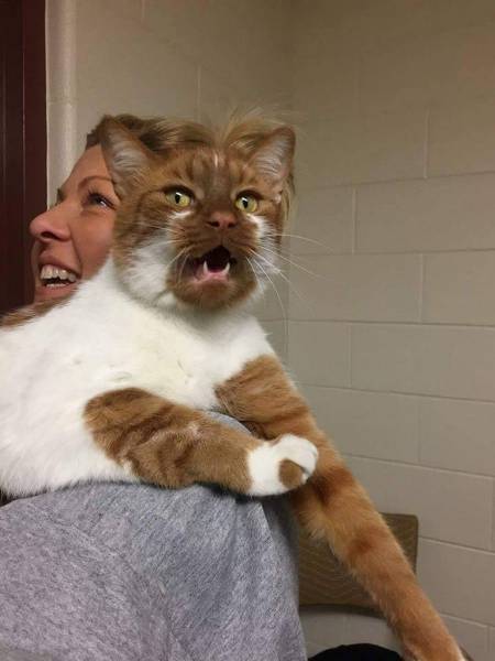 daily picdump 94 pics 33.html - 94 HD Photos | Premium Gallery 2017