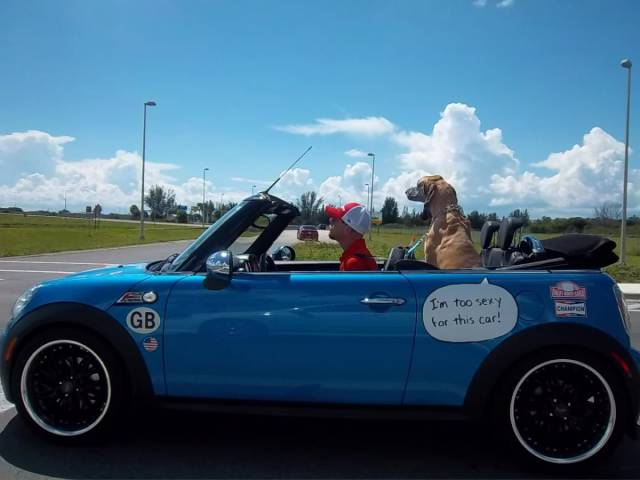 daily picdump 94 pics 33.html - 94 HD Photos | Premium Gallery 2017