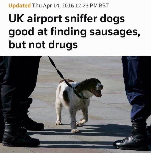 daily picdump 94 pics 33.html - 94 HD Photos | Premium Gallery 2017