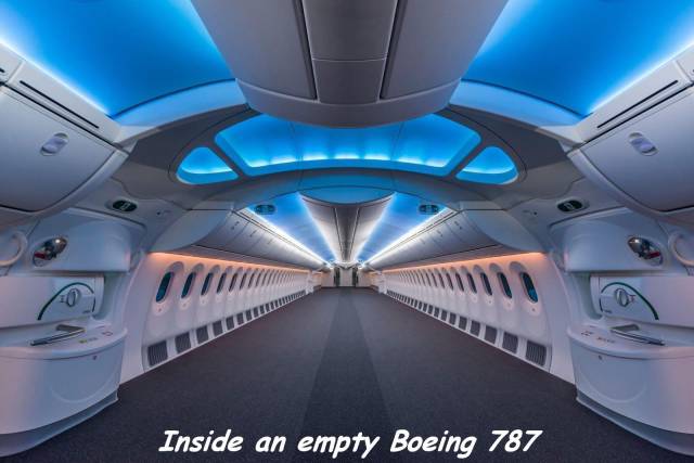 daily picdump 94 pics 33.html - 94 HD Photos | Premium Gallery 2017