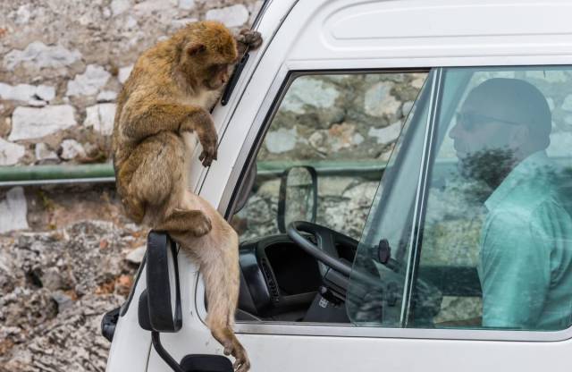 daily picdump 94 pics 33.html - 94 HD Photos | Premium Gallery 2017