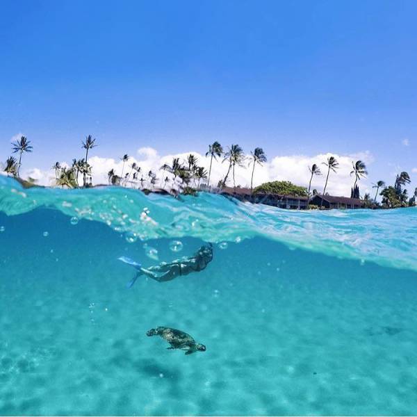 daily picdump 94 pics 33.html - 94 HD Photos | Premium Gallery 2017