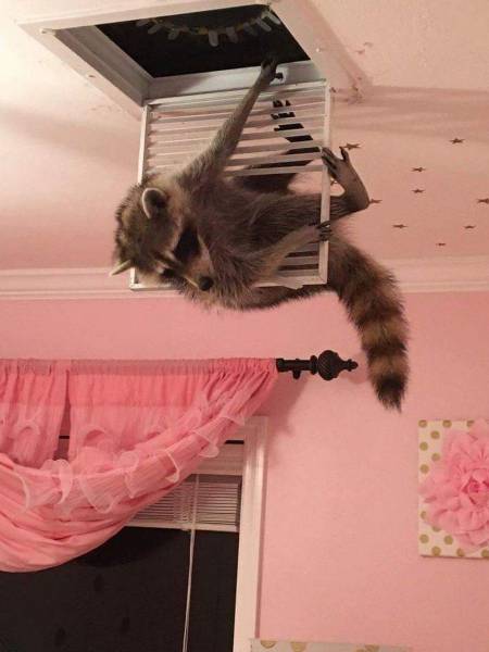 daily picdump 94 pics 33.html - 94 HD Photos | Premium Gallery 2017