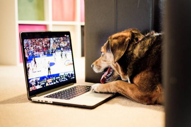 daily picdump 94 pics 33.html - 94 HD Photos | Premium Gallery 2017