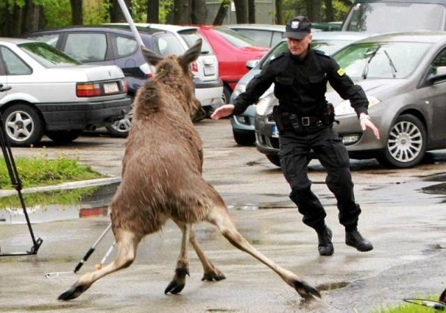 daily picdump 94 pics 33.html - 94 HD Photos | Premium Gallery 2017