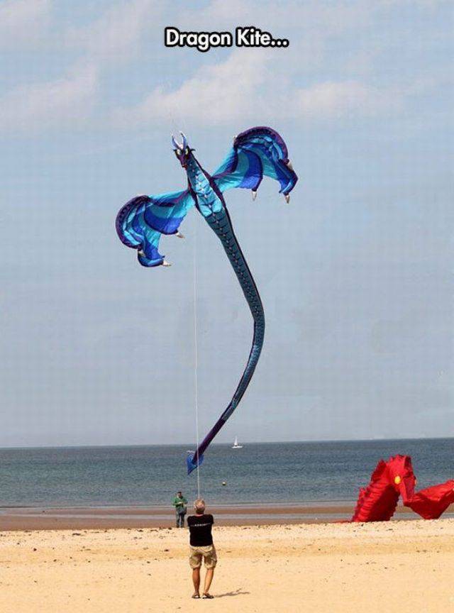 daily picdump 94 pics 33.html - 94 HD Photos | Premium Gallery 2017