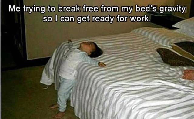 funny picdump 52 pics 3.html - 52 HD Photos | Premium Gallery 2017