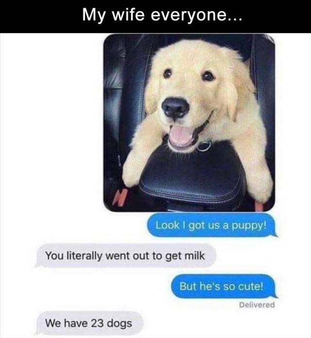 funny picdump 52 pics 3.html - 52 HD Photos | Premium Gallery 2017