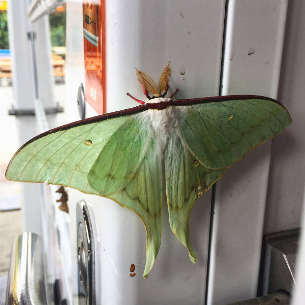 morning picdump 50 pics 4.html - 50 HD Photos | Premium Gallery 2017