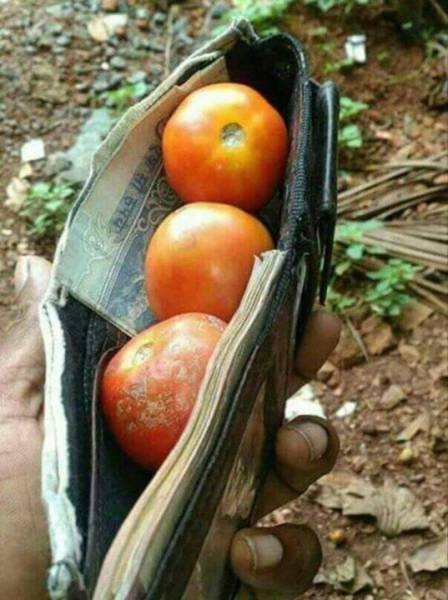 morning picdump 50 pics 4.html - 50 HD Photos | Premium Gallery 2017