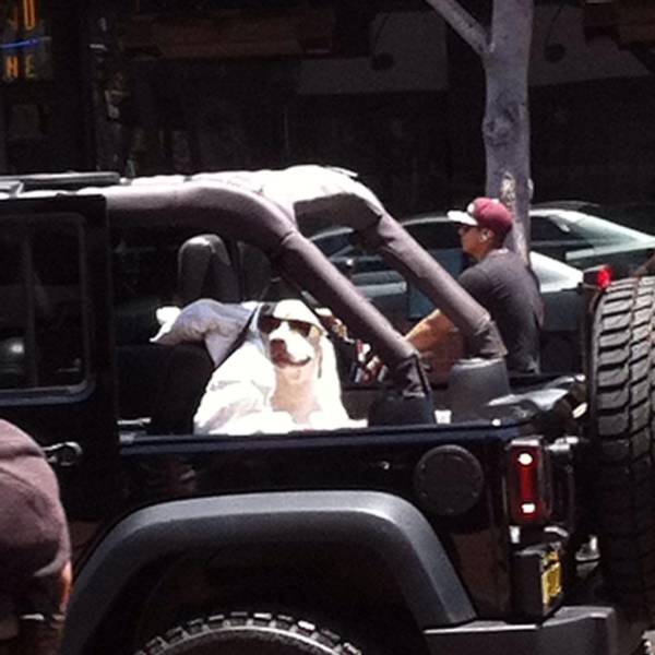 morning picdump 50 pics 4.html - 50 HD Photos | Premium Gallery 2017