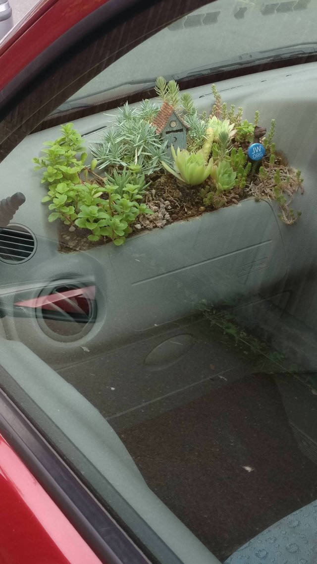 morning picdump 50 pics 4.html - 50 HD Photos | Premium Gallery 2017