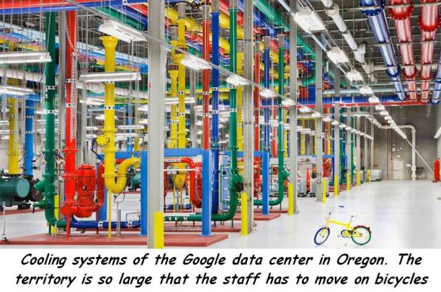 daily picdump 91 pics 13.html - 91 HD Photos | Premium Gallery 2017