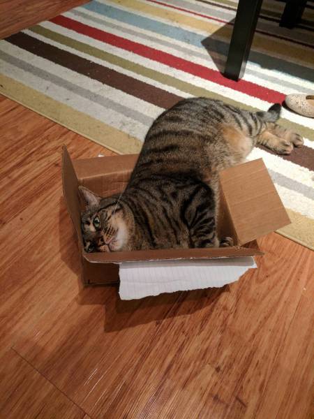 daily picdump 91 pics 13.html - 91 HD Photos | Premium Gallery 2017