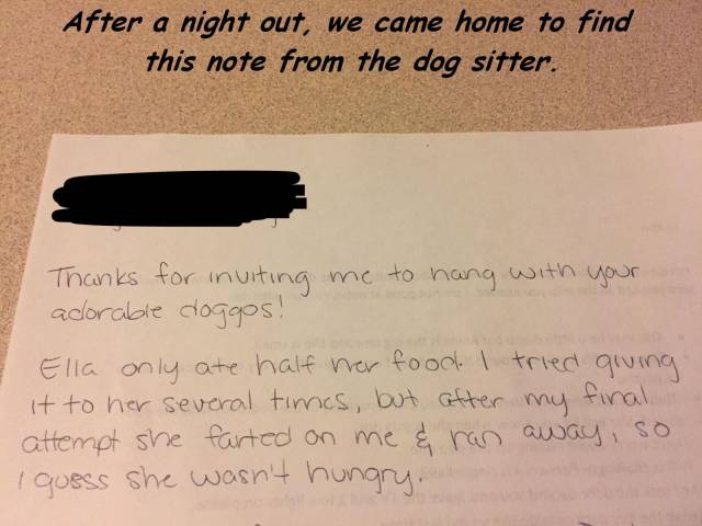 daily picdump 91 pics 13.html - 91 HD Photos | Premium Gallery 2017