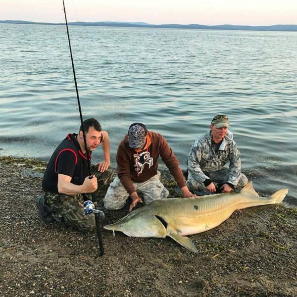 daily picdump 91 pics 13.html - 91 HD Photos | Premium Gallery 2017