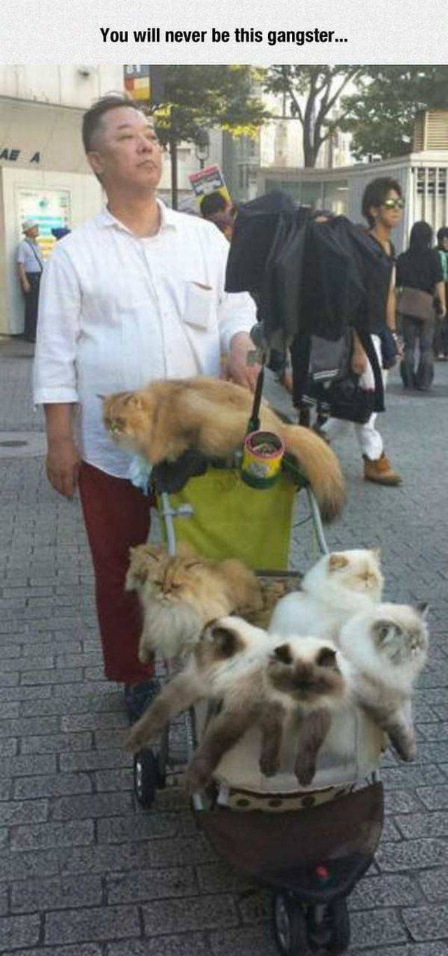 daily picdump 91 pics 13.html - 91 HD Photos | Premium Gallery 2017