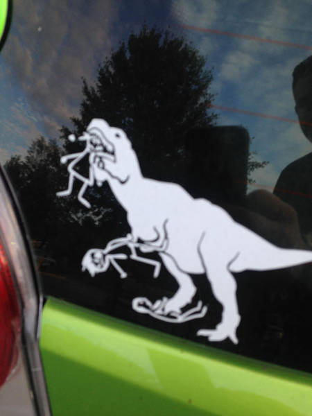 morning picdump 53 pics 8.html - 53 HD Photos | Premium Gallery 2017