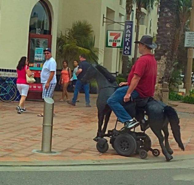 daily picdump 94 pics 37.html - 94 HD Photos | Premium Gallery 2017