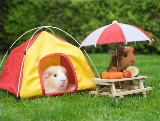 daily picdump 94 pics 37.html - 94 HD Photos | Premium Gallery 2017