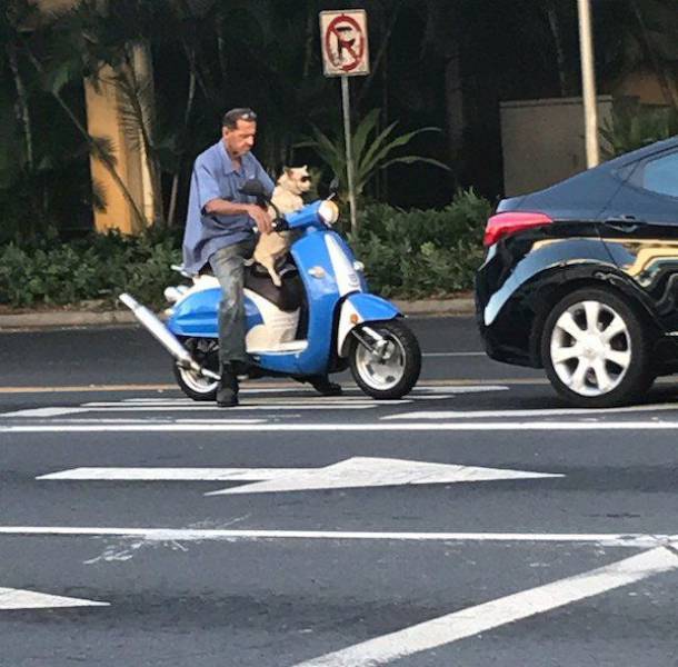 daily picdump 94 pics 37.html - 94 HD Photos | Premium Gallery 2017