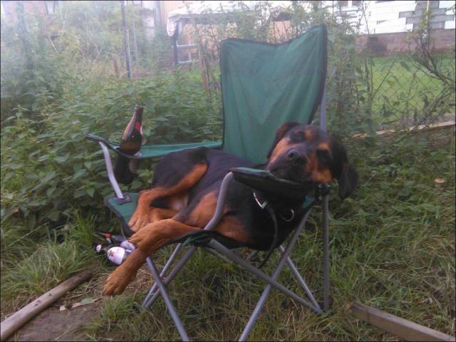 daily picdump 94 pics 37.html - 94 HD Photos | Premium Gallery 2017