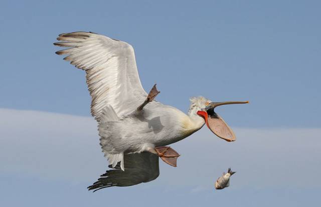 daily picdump 94 pics 37.html - 94 HD Photos | Premium Gallery 2017