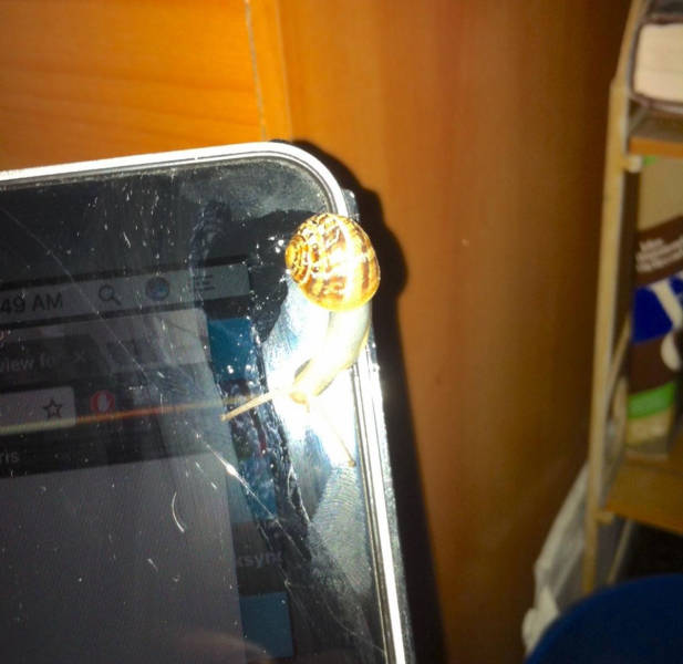 morning picdump 52 pics 1.html - 52 HD Photos | Premium Gallery 2017