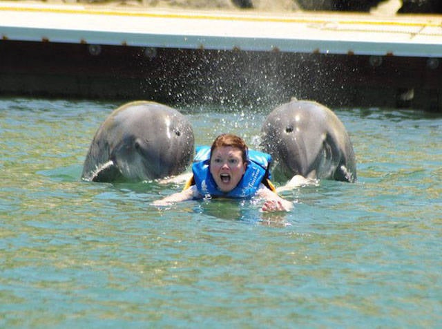 Daily Picdump [WEEKEND EDITION]