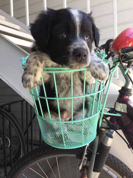 daily picdump weekend edition 52 pics 9.html - 52 HD Photos | Premium Gallery 2017