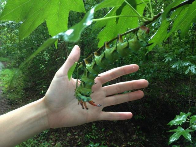 daily picdump 96 pics 10.html - 96 HD Photos | Premium Gallery 2017