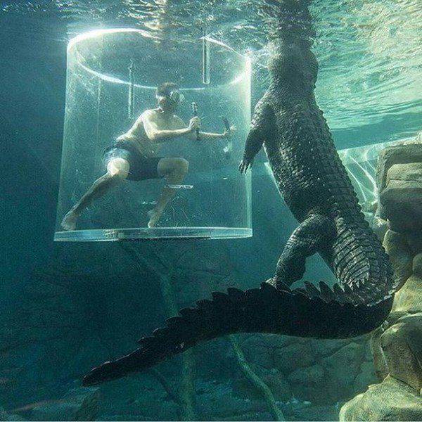 daily picdump 96 pics 10.html - 96 HD Photos | Premium Gallery 2017