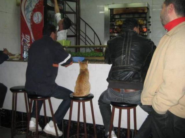 daily picdump 96 pics 10.html - 96 HD Photos | Premium Gallery 2017