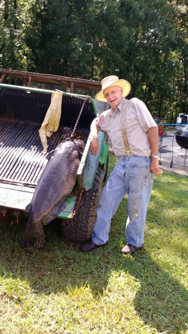 daily picdump 96 pics 10.html - 96 HD Photos | Premium Gallery 2017