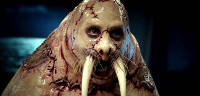 What And Why The Hell?!