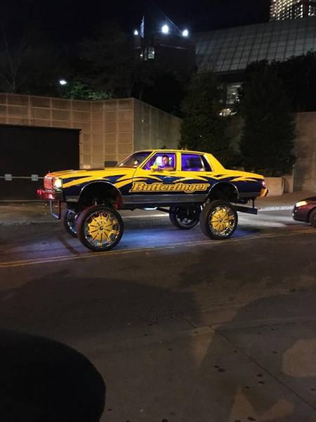 daily picdump 93 pics 23.html - 93 HD Photos | Premium Gallery 2017