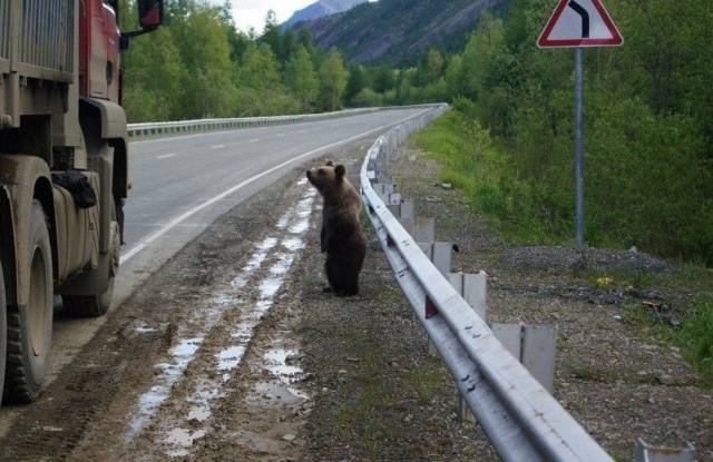 daily picdump 93 pics 23.html - 93 HD Photos | Premium Gallery 2017