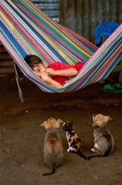 daily picdump 93 pics 23.html - 93 HD Photos | Premium Gallery 2017