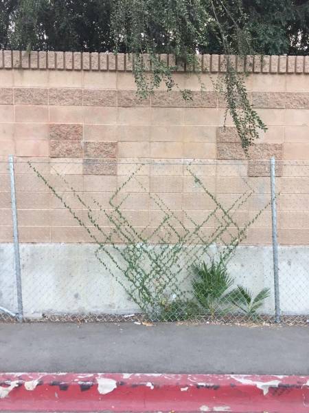 daily picdump 93 pics 23.html - 93 HD Photos | Premium Gallery 2017