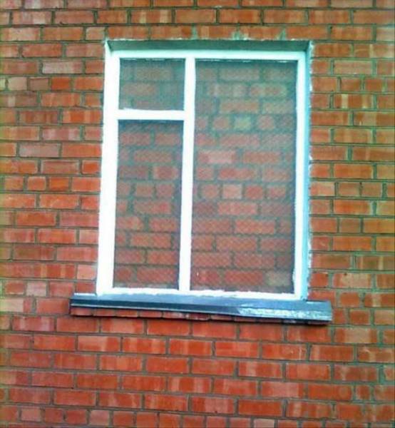 daily picdump 93 pics 23.html - 93 HD Photos | Premium Gallery 2017