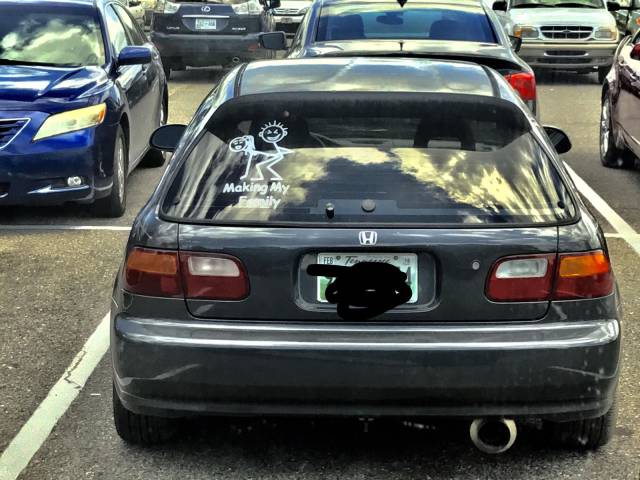 daily picdump 93 pics 23.html - 93 HD Photos | Premium Gallery 2017