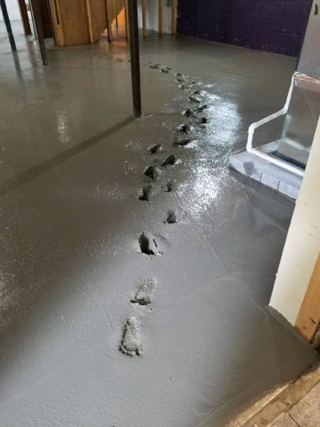 daily picdump 93 pics 23.html - 93 HD Photos | Premium Gallery 2017