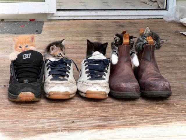 daily picdump 93 pics 23.html - 93 HD Photos | Premium Gallery 2017