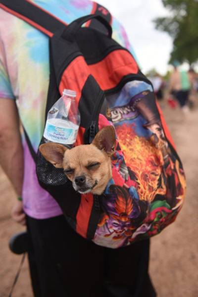 daily picdump 93 pics 23.html - 93 HD Photos | Premium Gallery 2017