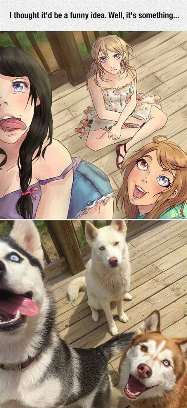 daily picdump 93 pics 23.html - 93 HD Photos | Premium Gallery 2017