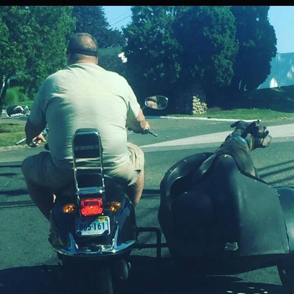 morning picdump 52 pics 21.html - 52 HD Photos | Premium Gallery 2017