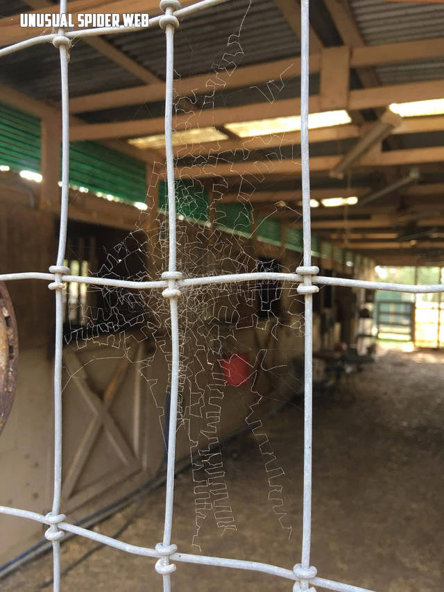 morning picdump 52 pics 21.html - 52 HD Photos | Premium Gallery 2017