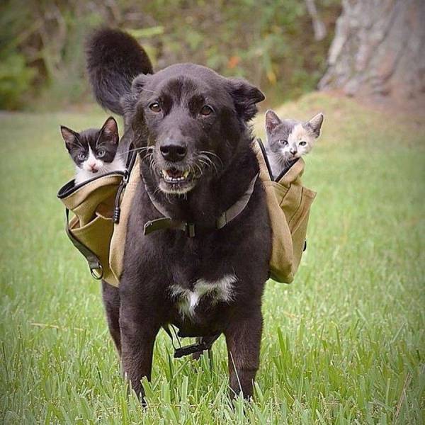 daily picdump 97 pics 2.html - 97 HD Photos | Premium Gallery 2017