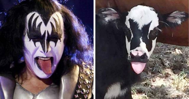 daily picdump 97 pics 2.html - 97 HD Photos | Premium Gallery 2017